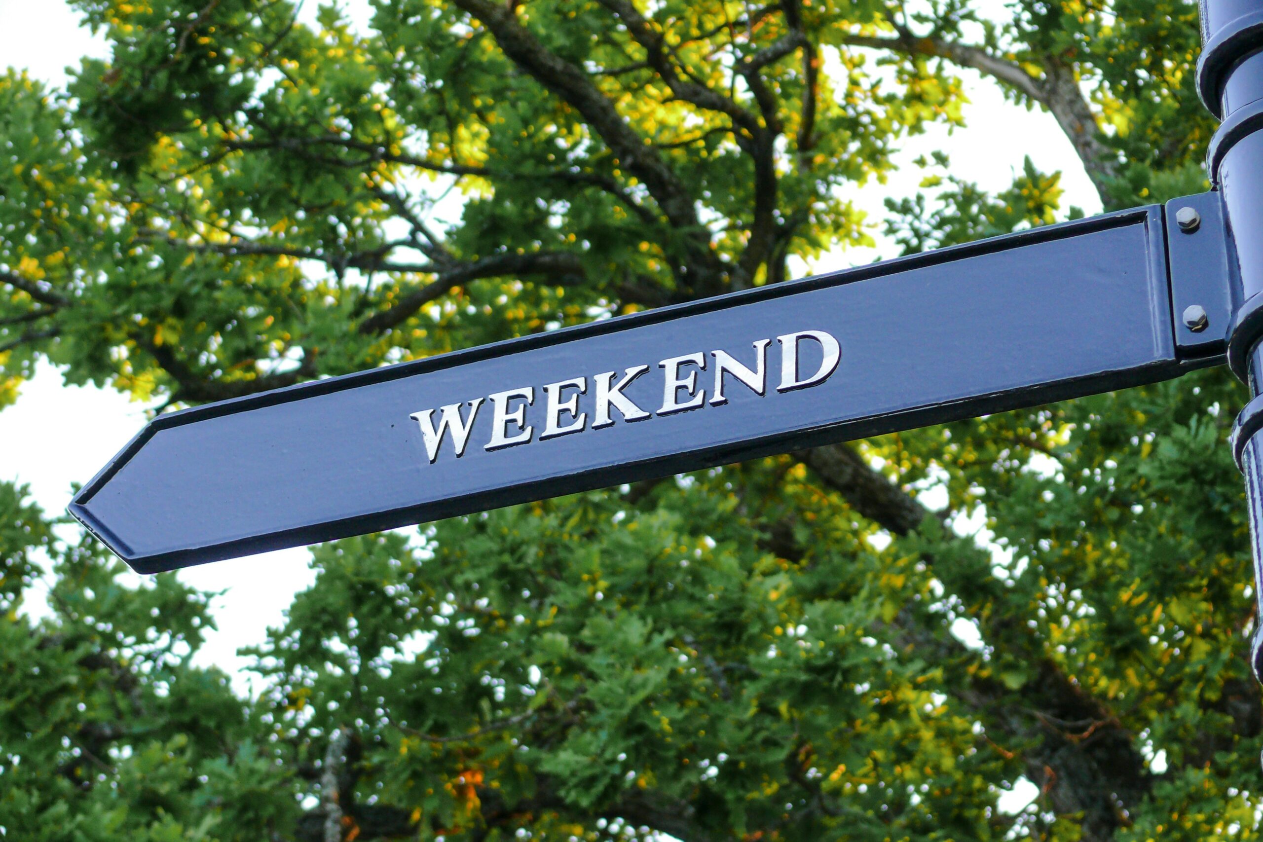 Weekends at the Grind